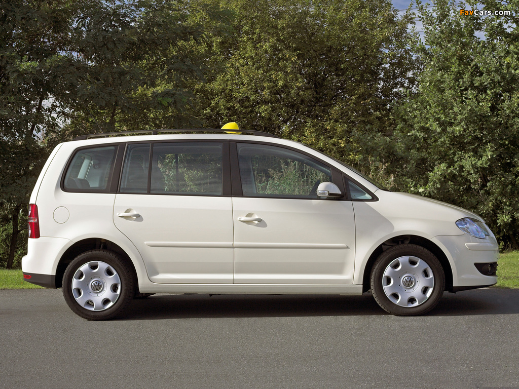 Volkswagen Touran EcoFuel Taxi 2007–10 wallpapers (1024 x 768)