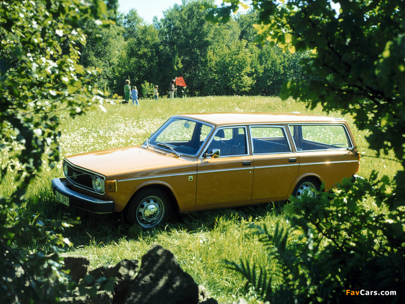 Volvo 145 1973–74 photos (800 x 600)