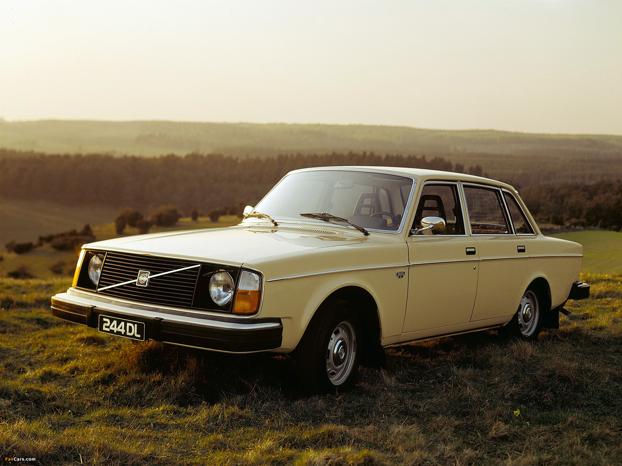 Pictures of Volvo 244 DL 1975–78 (2048 x 1536)