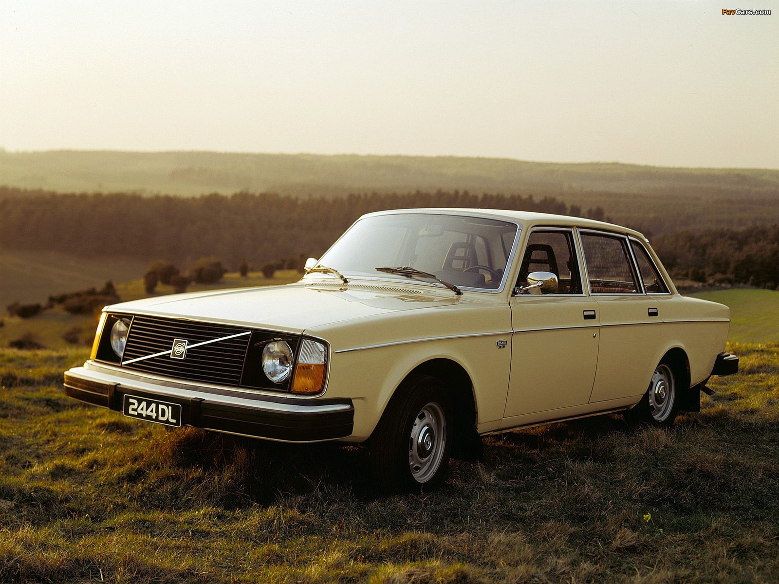 Pictures of Volvo 244 DL 1975–78 (1600 x 1200)