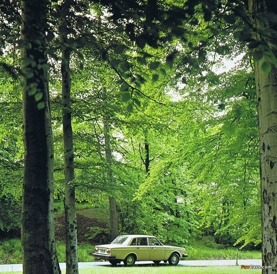 Pictures of Volvo 244 DL JP-spec 1975–78 (900 x 890)
