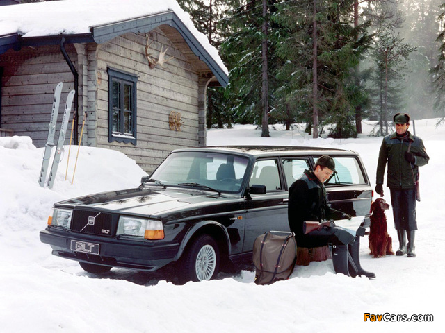 Pictures of Volvo 245 GLT 1981–84 (640 x 480)