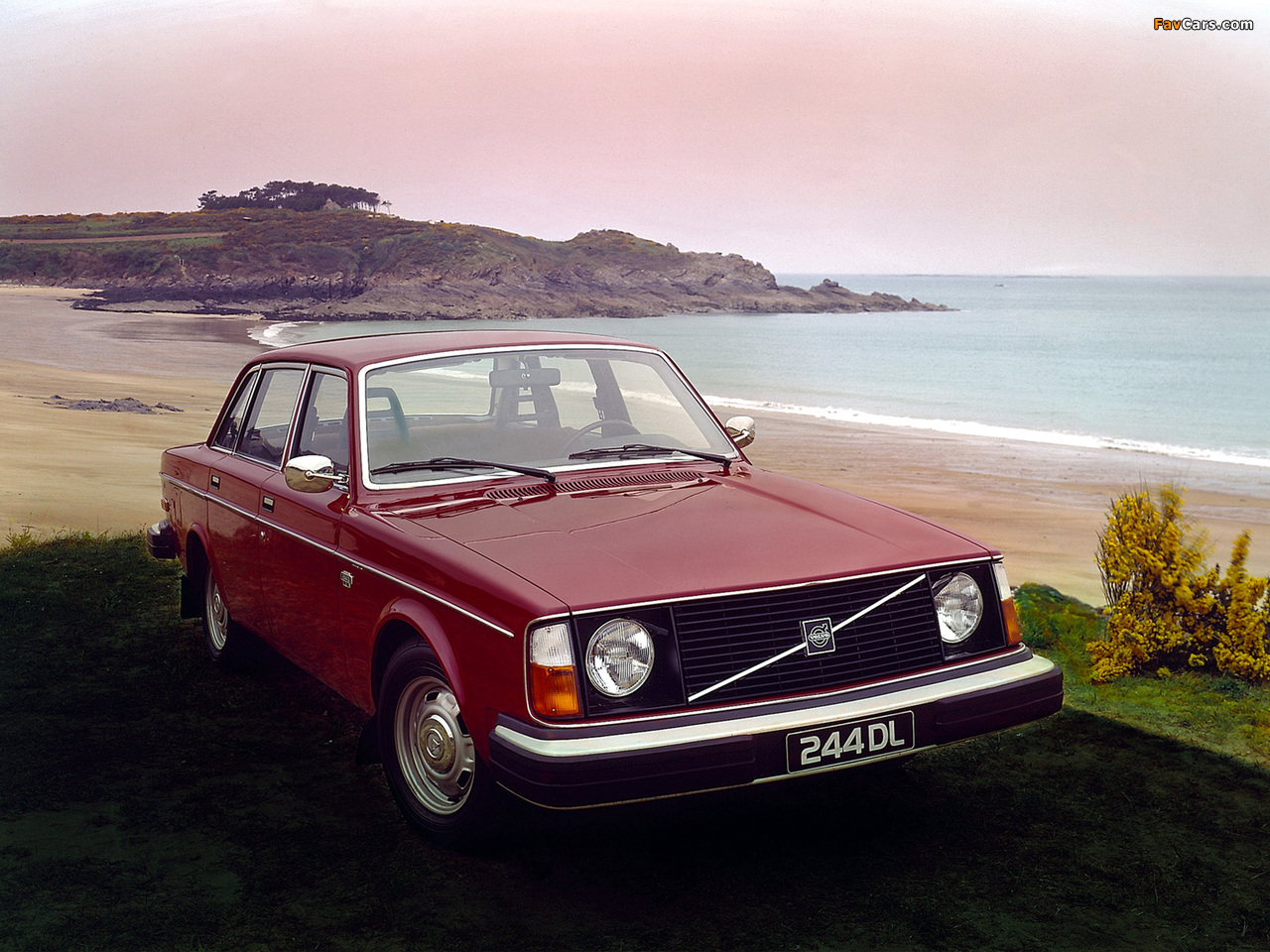 Volvo 244 DL 1975–78 images (1280 x 960)
