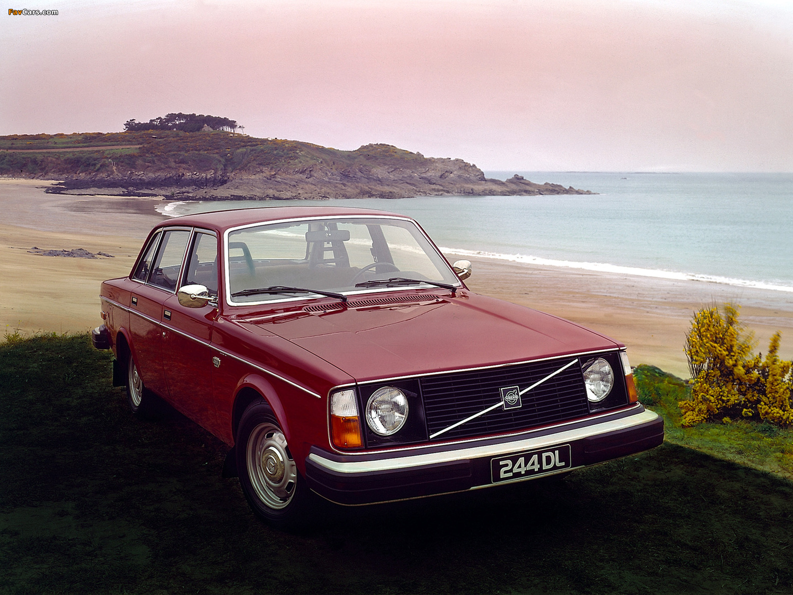 Volvo 244 DL 1975–78 images (1600 x 1200)