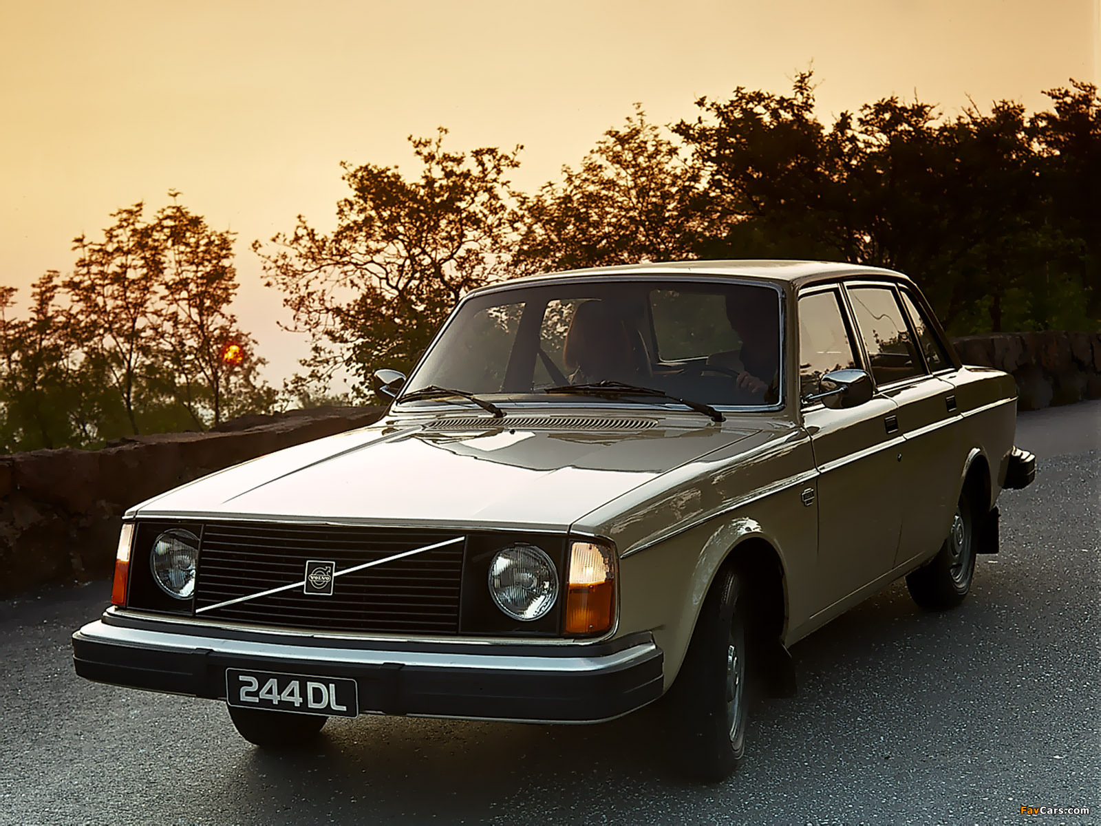 Volvo 244 DL 1975–78 images (1600 x 1200)