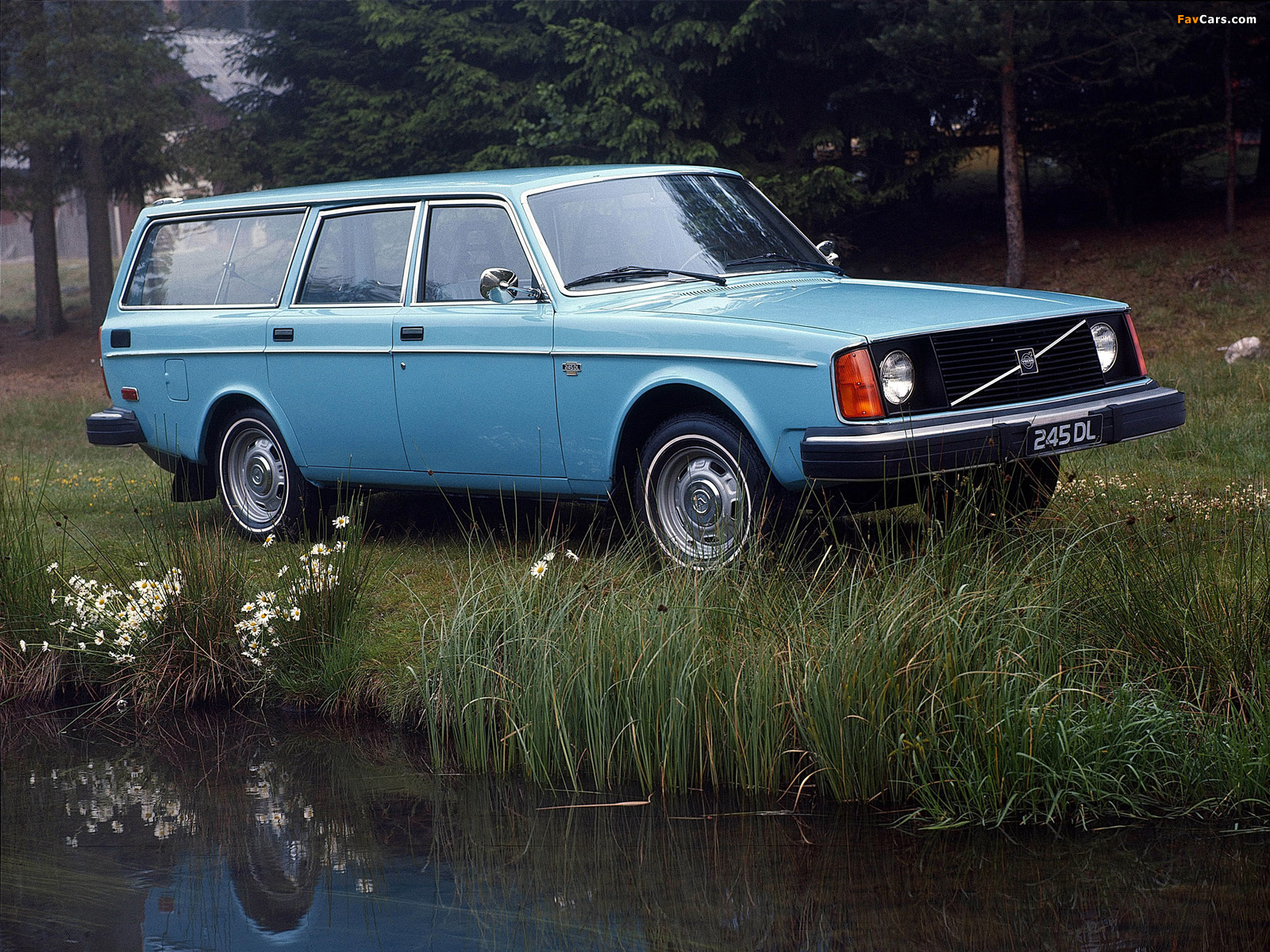 Volvo 245 DL 1975–78 photos (1600 x 1200)