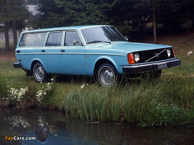 Volvo 245 DL 1975–78 photos (640 x 480)