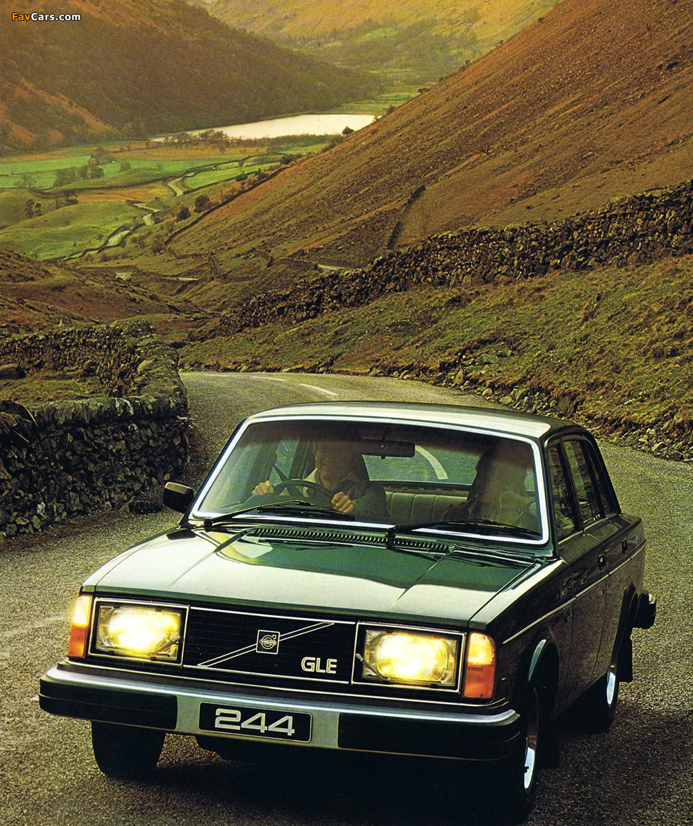Volvo 244 GLE JP-spec 1979–81 photos (1007 x 1200)