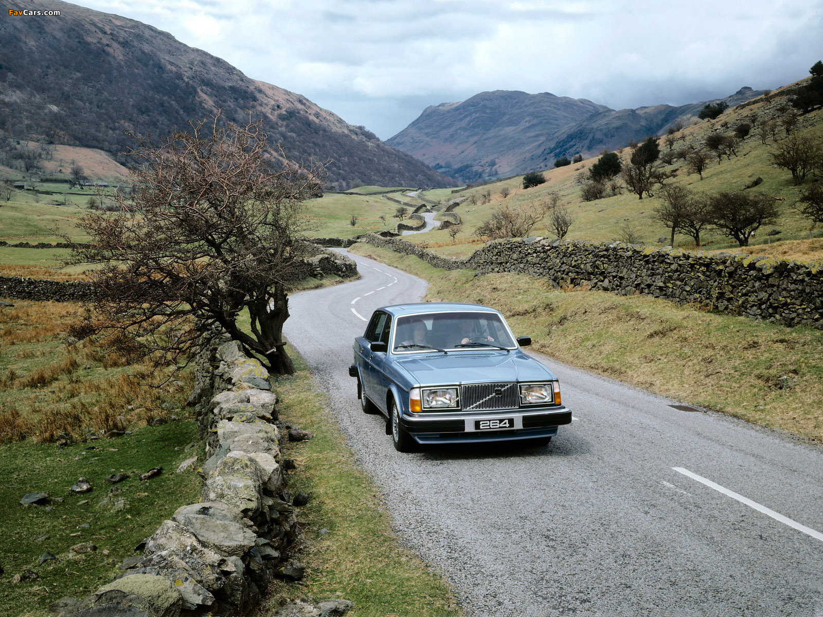 Pictures of Volvo 264 GLE 1980–82 (1600 x 1200)