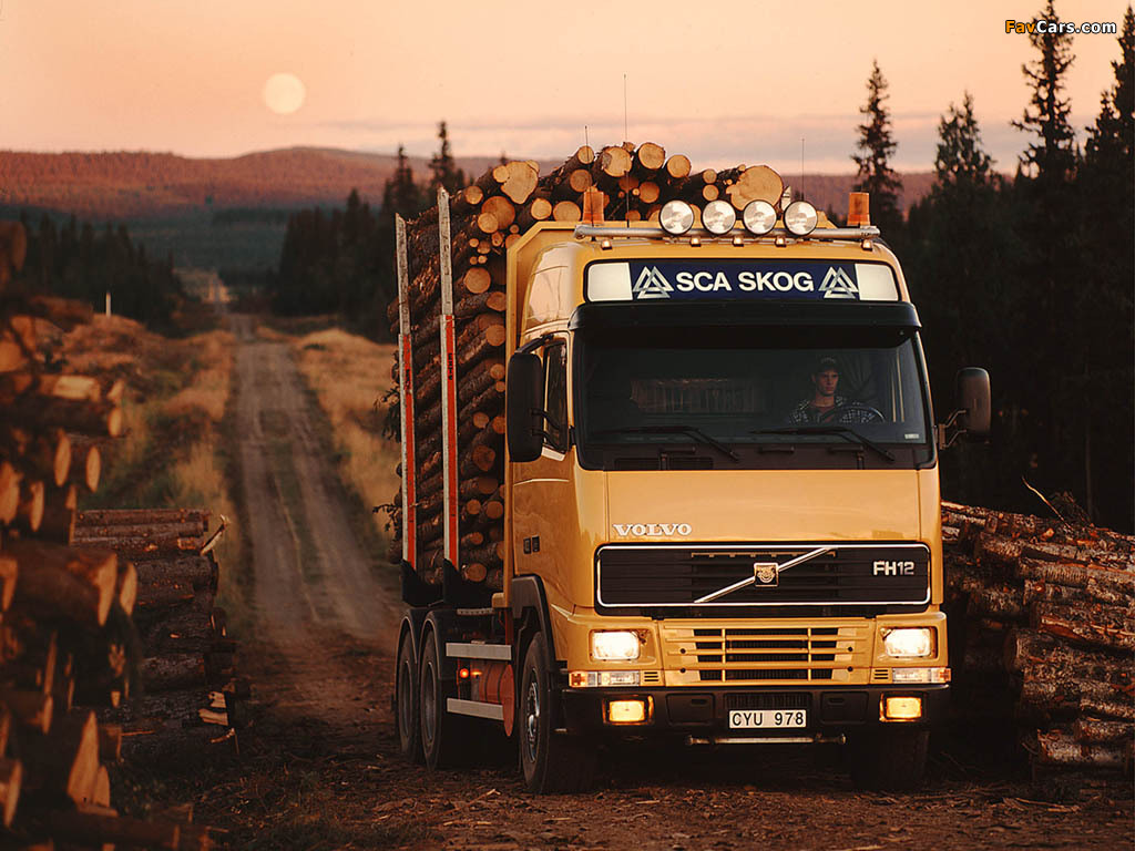 Volvo FH12 Timber Truck 1993–2002 wallpapers (1024 x 768)