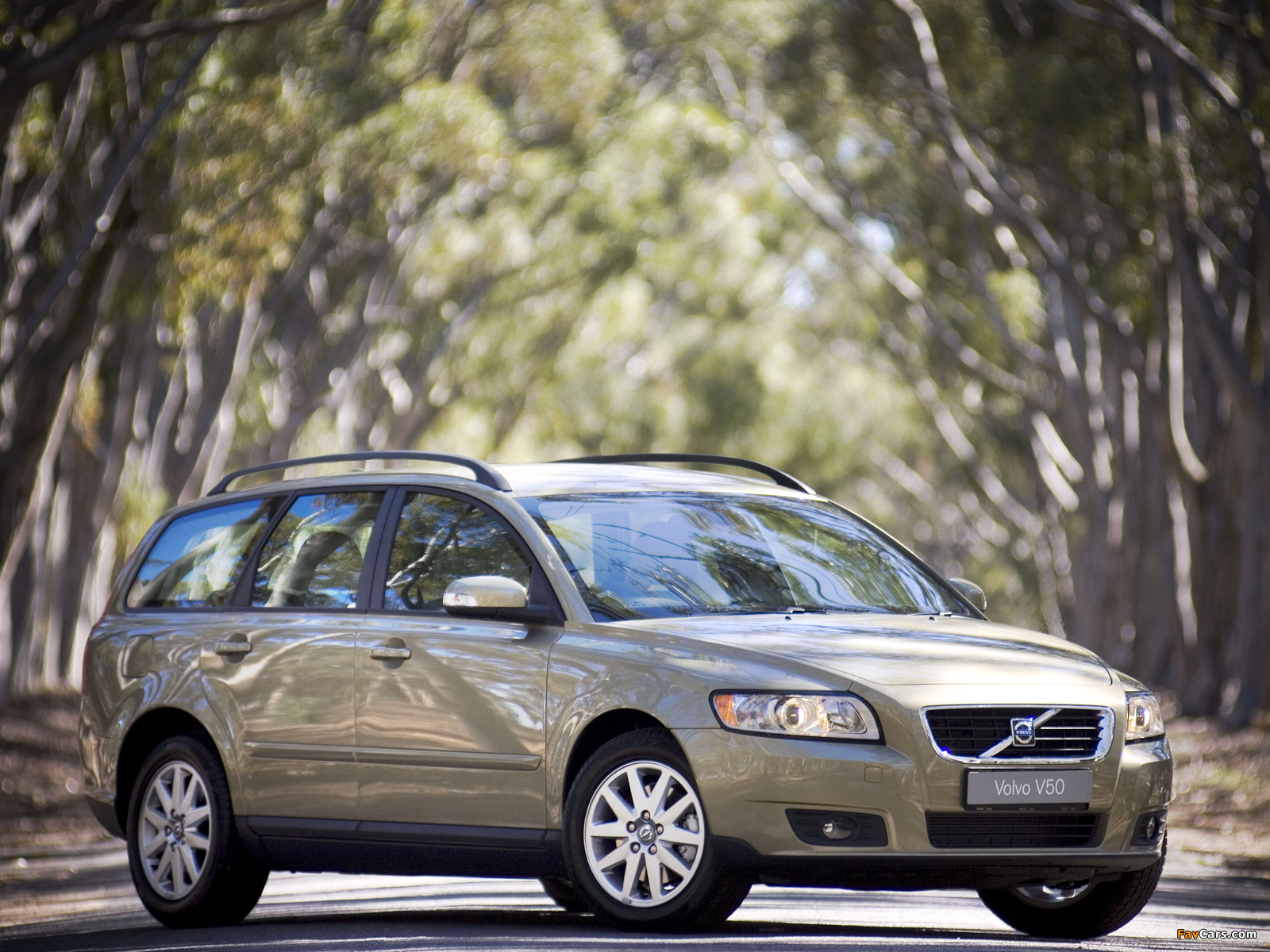 Photos of Volvo V50 ZA-spec 2007–09 (1600 x 1200)