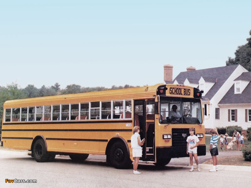 Wayne Lifestar FE School Bus 1986 photos (800 x 600)