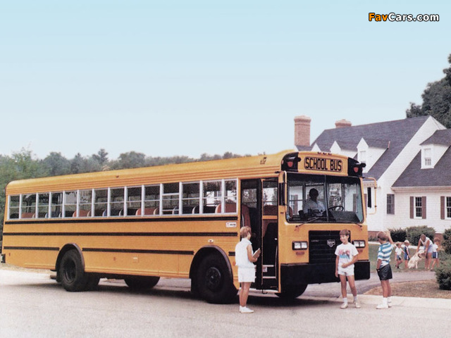 Wayne Lifestar FE School Bus 1986 photos (640 x 480)