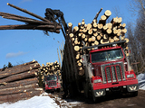 Images of Western Star 4900 FA Logging Truck 2008