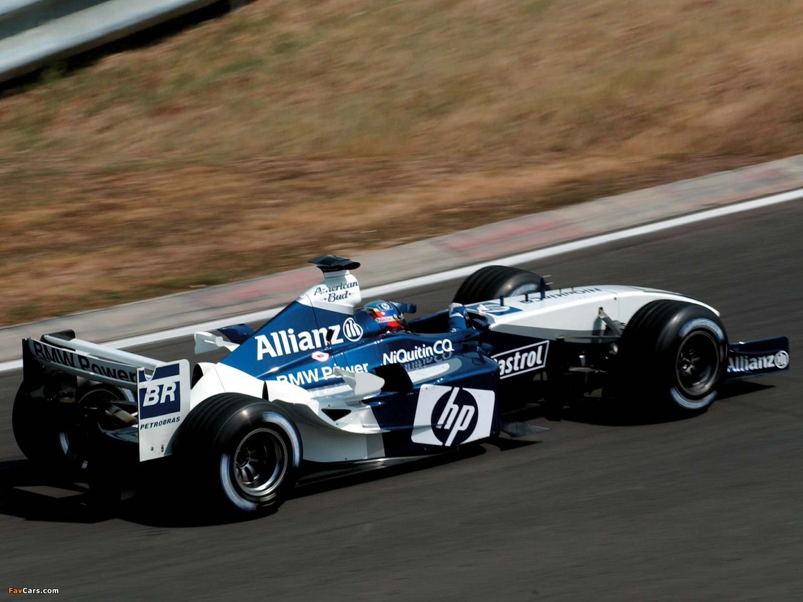 Images of BMW WilliamsF1 FW25 2003 (1600 x 1200)