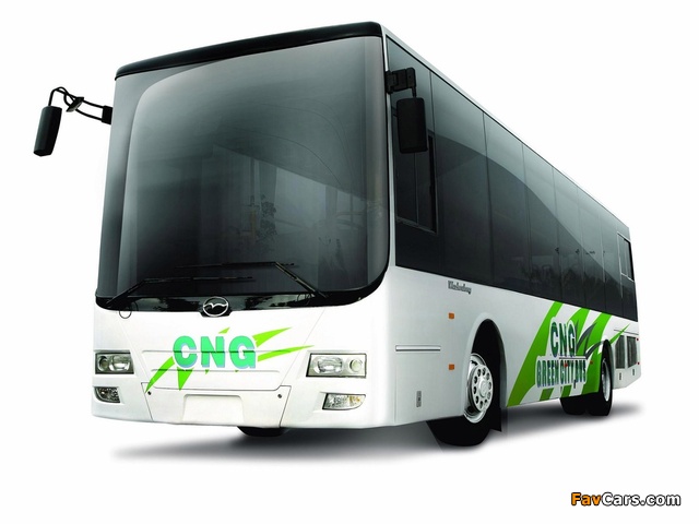 Wuzhoulong FDG6121 CNG 2011 wallpapers (640 x 480)